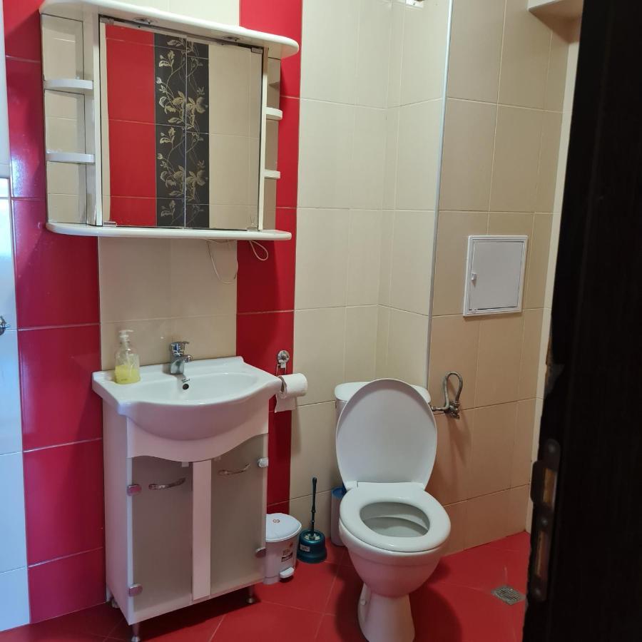 Apartament елка *